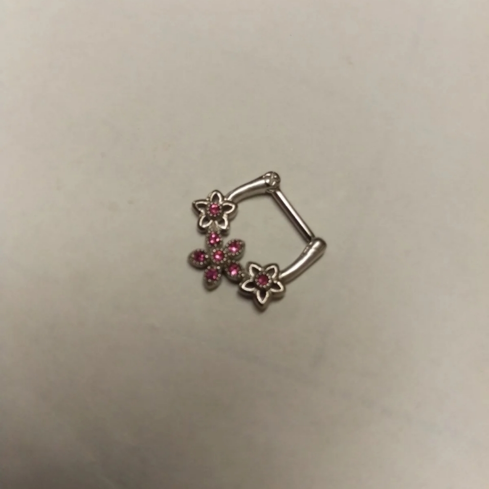 Septum ring - Picture 2 of 3
